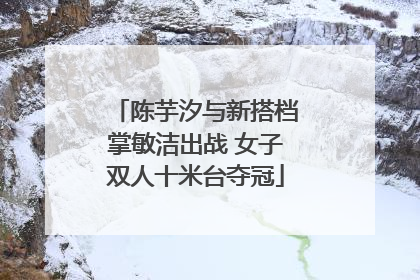 陈芋汐与新搭档掌敏洁出战 女子双人十米台夺冠