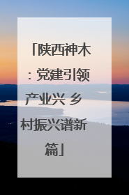 陕西神木：党建引领产业兴 乡村振兴谱新篇