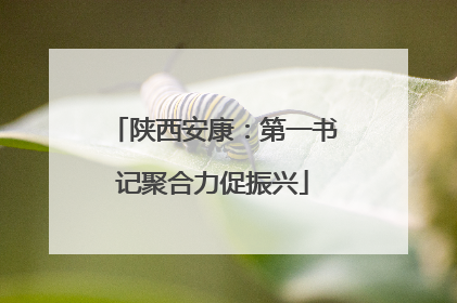 陕西安康：第一书记聚合力促振兴