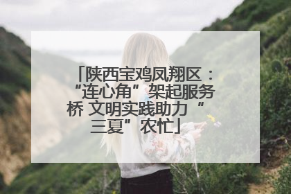 陕西宝鸡凤翔区：“连心角”架起服务桥 文明实践助力“三夏”农忙