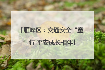 雁峰区：交通安全“童”行 平安成长相伴