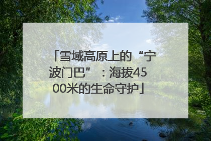 雪域高原上的“宁波门巴”：海拔4500米的生命守护