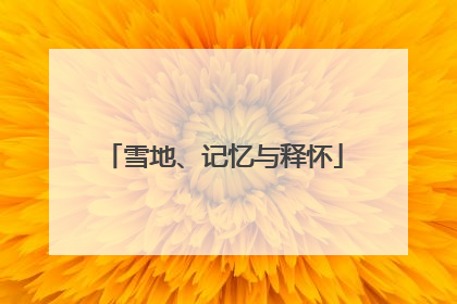 雪地、记忆与释怀