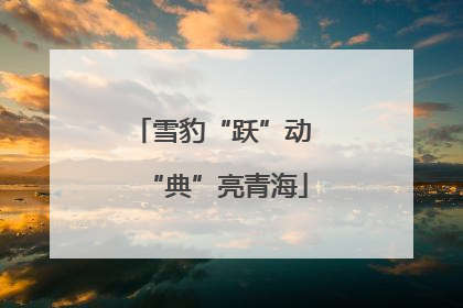 雪豹“跃”动 “典”亮青海