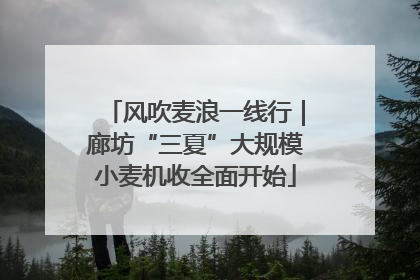 风吹麦浪一线行｜廊坊“三夏”大规模小麦机收全面开始