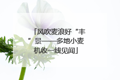 风吹麦浪好“丰”景——多地小麦机收一线见闻