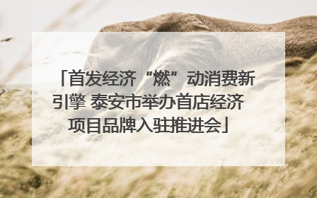 首发经济“燃”动消费新引擎 泰安市举办首店经济项目品牌入驻推进会