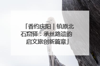 香约庆阳｜镇原北石窟驿：承丝路遗韵 启文旅创新篇章