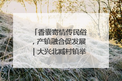 香囊寄情传民俗，产镇融合促发展｜大兴北臧村镇举办端午主题活动
