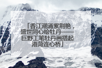 香江潮涌紫荆艳，盛世同心绘牡丹——巨野工笔牡丹画搭起港菏连心桥