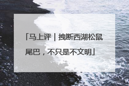 马上评｜拽断西湖松鼠尾巴，不只是不文明