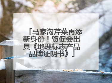 马家沟芹菜再添新身份！贸促会出具《地理标志产品品牌证明书》