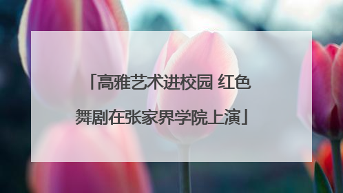高雅艺术进校园 红色舞剧在张家界学院上演