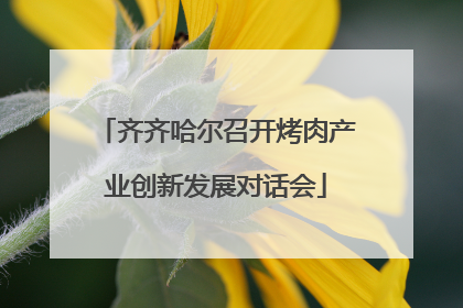 齐齐哈尔召开烤肉产业创新发展对话会