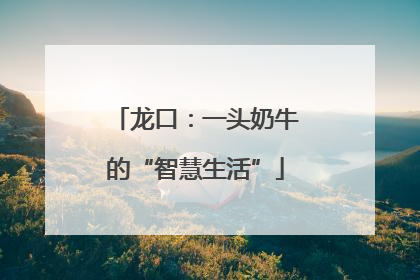龙口：一头奶牛的“智慧生活”