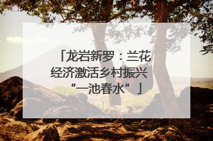 龙岩新罗：兰花经济激活乡村振兴“一池春水”