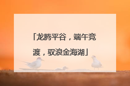 龙腾平谷，端午竞渡，驭浪金海湖