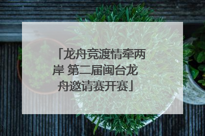 龙舟竞渡情牵两岸 第二届闽台龙舟邀请赛开赛