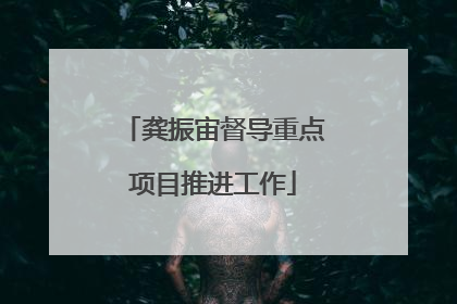 龚振宙督导重点项目推进工作