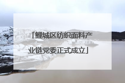 鲤城区纺织面料产业链党委正式成立