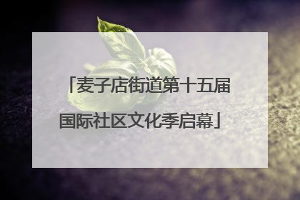 麦子店街道第十五届国际社区文化季启幕