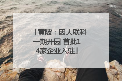 黄陂：因大联科一期开园 首批14家企业入驻