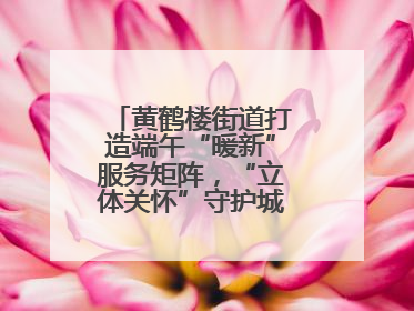 黄鹤楼街道打造端午“暖新”服务矩阵，“立体关怀”守护城市“摆渡人”
