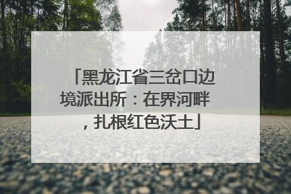 黑龙江省三岔口边境派出所：在界河畔，扎根红色沃土