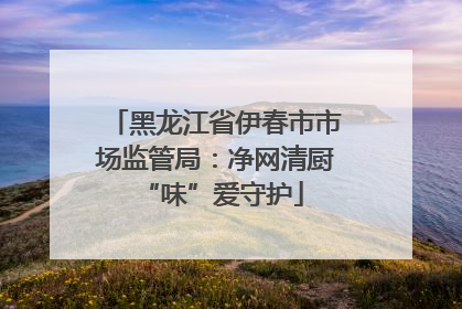 黑龙江省伊春市市场监管局：净网清厨 “味”爱守护