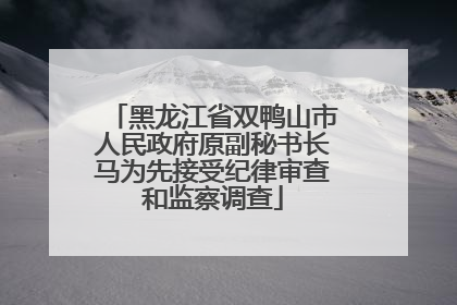 黑龙江省双鸭山市人民政府原副秘书长马为先接受纪律审查和监察调查