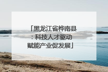 黑龙江省桦南县：科技人才驱动 赋能产业促发展