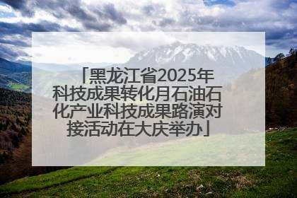 黑龙江省2025年科技成果转化月石油石化产业科技成果路演对接活动在大庆举办