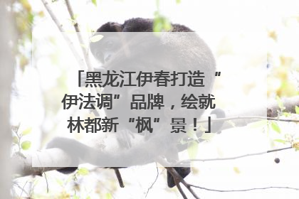 黑龙江伊春打造“伊法调”品牌，绘就林都新“枫”景！