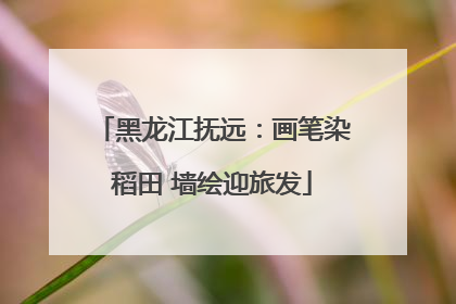 黑龙江抚远：画笔染稻田 墙绘迎旅发