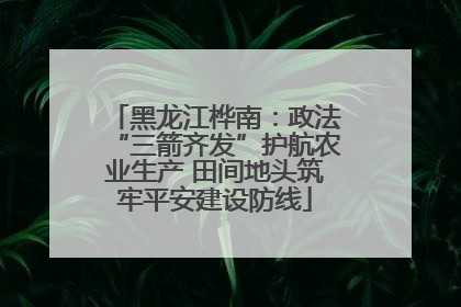 黑龙江桦南：政法“三箭齐发”护航农业生产 田间地头筑牢平安建设防线