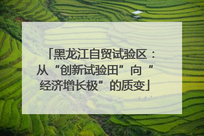 黑龙江自贸试验区：从“创新试验田”向“经济增长极”的质变