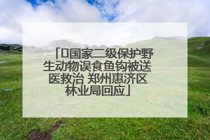 ﻿国家二级保护野生动物误食鱼钩被送医救治 郑州惠济区林业局回应