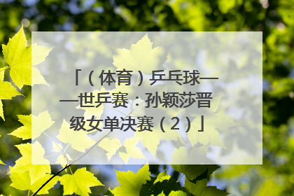 （体育）乒乓球——世乒赛：孙颖莎晋级女单决赛（2）