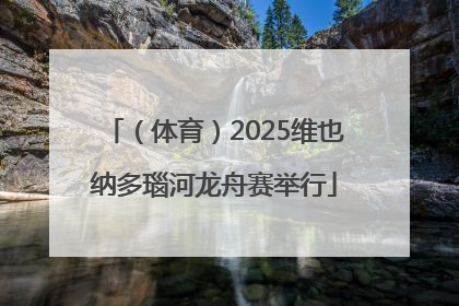 （体育）2025维也纳多瑙河龙舟赛举行