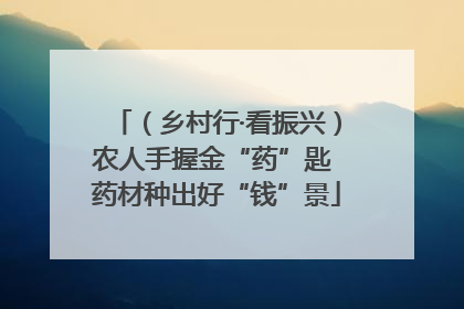 （乡村行·看振兴）农人手握金“药”匙 药材种出好“钱”景