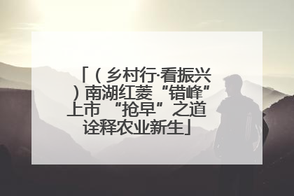（乡村行·看振兴）南湖红菱“错峰”上市 “抢早”之道诠释农业新生