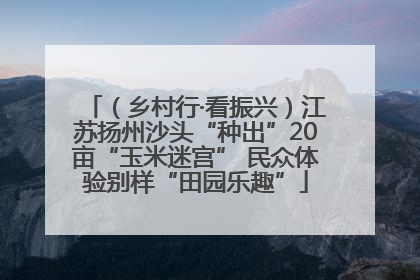 （乡村行·看振兴）江苏扬州沙头“种出”20亩“玉米迷宫” 民众体验别样“田园乐趣”