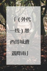 （外代一线）墨西哥城遭遇降雨