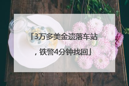 3万多美金遗落车站，铁警4分钟找回