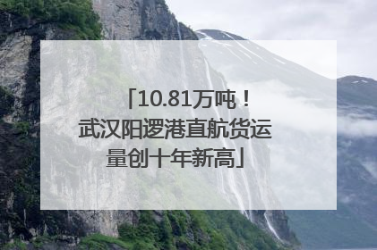 10.81万吨！武汉阳逻港直航货运量创十年新高