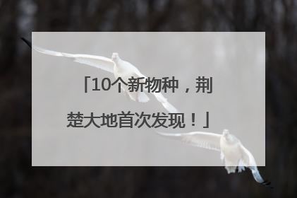 10个新物种，荆楚大地首次发现！