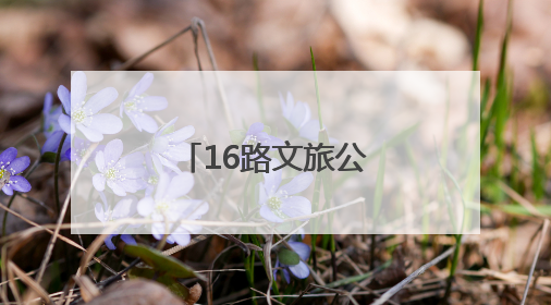 16路文旅公交，一日穿越济宁千年文脉