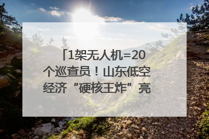 1架无人机=20个巡查员！山东低空经济“硬核王炸”亮相青岛，下一个万亿赛道藏在这里