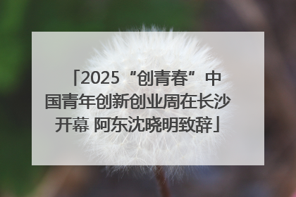 2025“创青春”中国青年创新创业周在长沙开幕 阿东沈晓明致辞