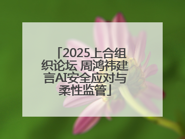 2025上合组织论坛 周鸿祎建言AI安全应对与柔性监管